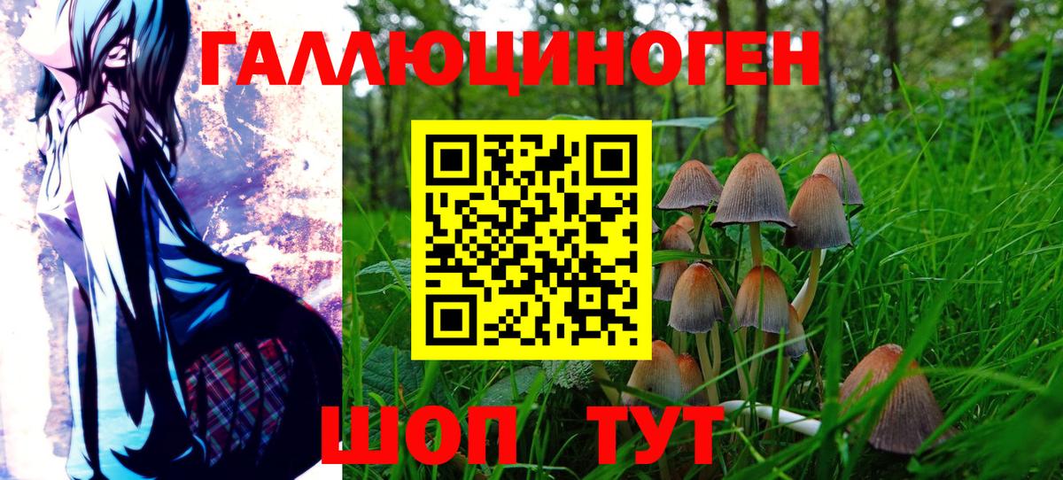 Галлюциногенные грибы GOLDEN TEACHER Кирово-Чепецк