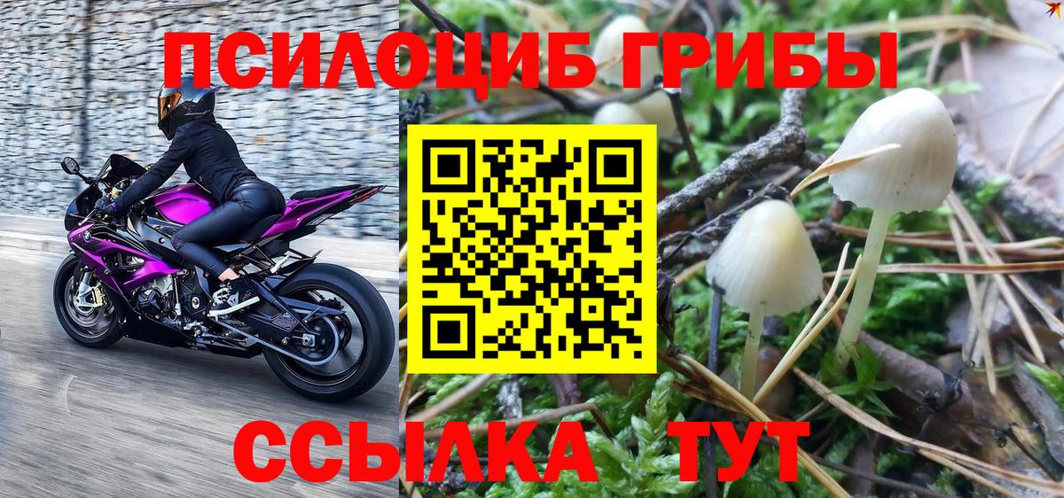Кирово-Чепецк  купить наркотик  Вход с VPN  Псилоцибиновые грибы мицелий 